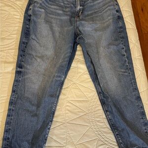American Eagle Outfitters Strigid Mom Jeans (18 Short)